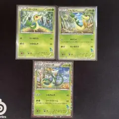 ツタージャ　ジャノビー　ジャローダHS