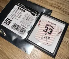 Item thumbnail for item 3f04c1a0-454f-4e40-8bd0-6972c7ac656f