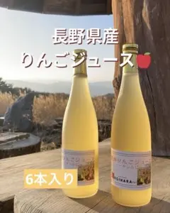 長野県産　サンふじ　りんごジュース　ストレート100% 780ml6本入りのサムネイル