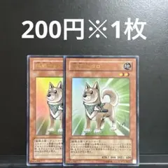 遊戯王　柴戦士タロ　YAP1 ゲートボール　1103