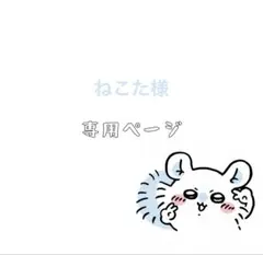 【ねこた様専用】ネイルパーツ