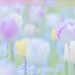 8点 おまとめ