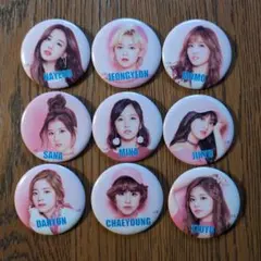 TWICE 缶バッジセット　ナヨン　ジョンヨン　モモ　サナ　ジヒョ　ミナ