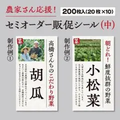 Item thumbnail for item adbfde4a-37f0-49b0-9600-1a3293527c15