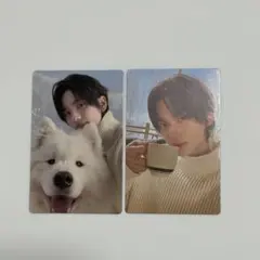 TWS シニュ トレカセット