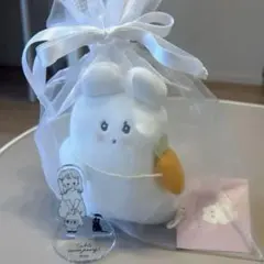 caho popup ぬいぐるみ　アクリルキーホルダー　セット