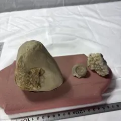 アンモナイト化石と鉱物標本 3点セットのサムネイル