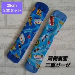 Item thumbnail for item 528863b4-8e59-4ab2-8dc6-a89a23118080