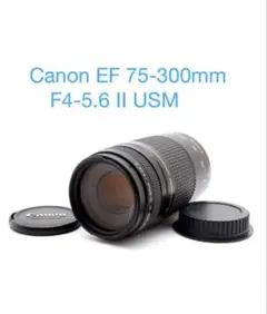 Canon EF 75-300mm F4-5.6 II USM レンズのサムネイル