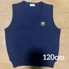 Item thumbnail for item 395de9cd-f1fb-4203-9d94-97bea12fbdc8