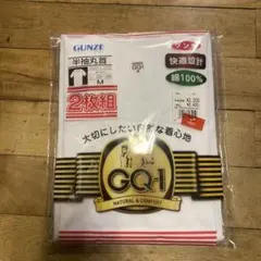 GUNZE Mサイズ 2枚組 Tシャツ