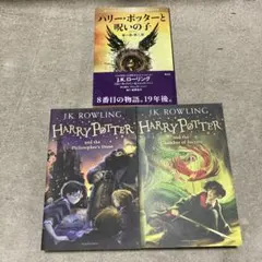ハリーポッター 洋書 20周年記念版 英語 - メルカリ