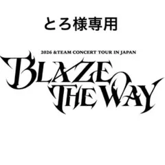 とろ様 リクエスト 2点 まとめ商品