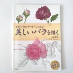 バラ ポストカード 30枚 TASCHEN タッシェン バラ ポストカード 30枚 TASCHEN タッシェン | Mercari