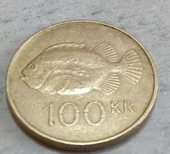外国硬貨 アイスランド 5クローナ イルカ柄 コイン 2007年