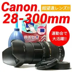 2025年最新】タムロン 28-300の人気アイテム - メルカリ