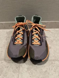 NIKE ペガサス　ゴアテックス
