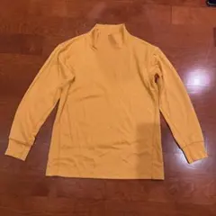 Item thumbnail for item 4d54ea3d-ca90-4ed0-ac65-d9ad3d03f196