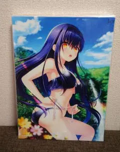 久島鴎 2022ver. B2WスエードタペストリーVA購買部出張所2022 - メルカリ
