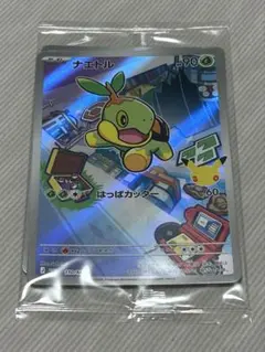 Pokemon Gosanke Naetle Hikozaru Piplup Promo