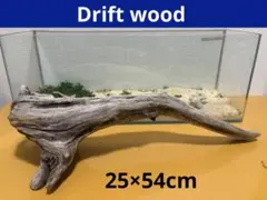 Item thumbnail for item 11ba2a05-8adf-425e-af5a-1e677cb021dd