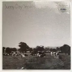 おまけ付き サニーデイ サービス BEST SKY 2LP レコード盤 - メルカリ