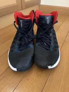 Nike Zoom バスケットボールシューズ ハイカット