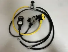 Item thumbnail for item 0c3f7ee1-23b2-42b8-9c7f-d75cd848163a