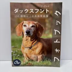 Item thumbnail for item fdc080c1-bb6c-4fc8-8a24-64083b94ab8c