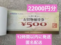 ヤマダ電機　株主優待券　22000円分