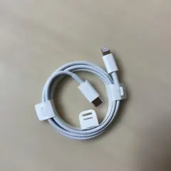 usb c ライトニング ケーブル lightning typec 純正