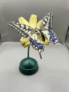 いきもの大図鑑 アドバンス