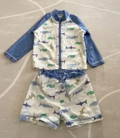 Item thumbnail for item 25df8221-b2d3-48a0-aedb-ef0d179f3f58