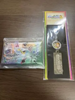 【未開封】ポケモンメガスタンプラリー2025マルチケースメガシンカマスター認定証