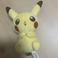 ポケモンセンター プチぬいぐるみ IN モンスターボールケース ピカチュウ