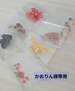 かおりん⭐︎様専用