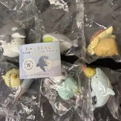 Item thumbnail for item 81faa10b-3c44-42bb-a733-a1a8a4f9c4cd