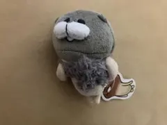 ボ*ノ様 ハンドメイド ぬいぐるみ 作家 作家様 リス エゾリス - メルカリ