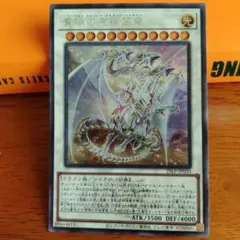 遊戯王　ワールドチャンピオンシップ2025 青眼の究極霊竜　SE　ロゴ入