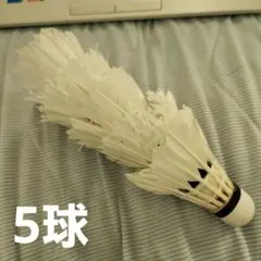 バドミントン 中古シャトル ヨネックス ニューオフィシャル 使用済 シャトル G