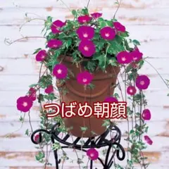 ☆あずあず☆様 リクエスト 2点 まとめ商品