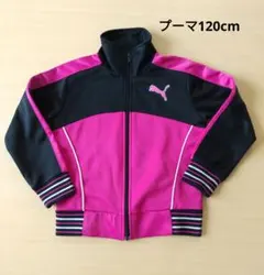 ジャージ　PUMA 120cm　女の子　プーマ