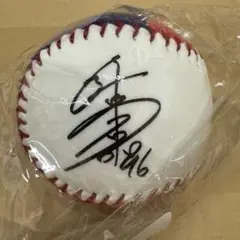 北海道日本ハムファイターズ 孫易磊 スンイーレイ フォト サインボール