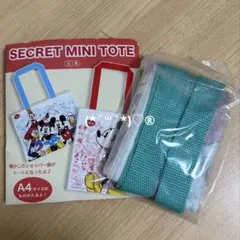 ディズニーストア　シークレット　ミニトート　エコバッグ