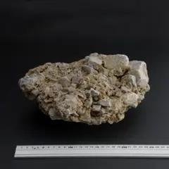 さざれ石（石灰質角礫岩 W27.5cm/D22.3cm/H11.8cm）095