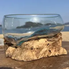 流木ガラスオブジェB20B 花瓶 金魚鉢 ガーデニング テラリウム 観賞魚 容器