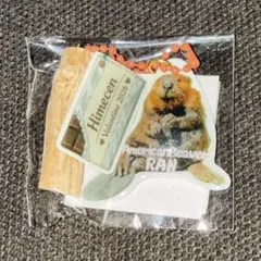ビーバー ラン バレンタイン 恋みくじ キーホルダー 姫路セントラルパーク