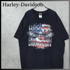 古着 ハーレーダビッドソン カナダ サスカチュワン州 レジーナ Tシャツ