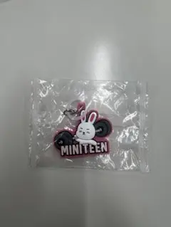 MINITEEN ぷっくりめじるしアクセサリー　エスクプス