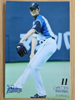 大谷翔平 日本ハムファイターズ 球団公式オフィシャルフォト 5枚セット